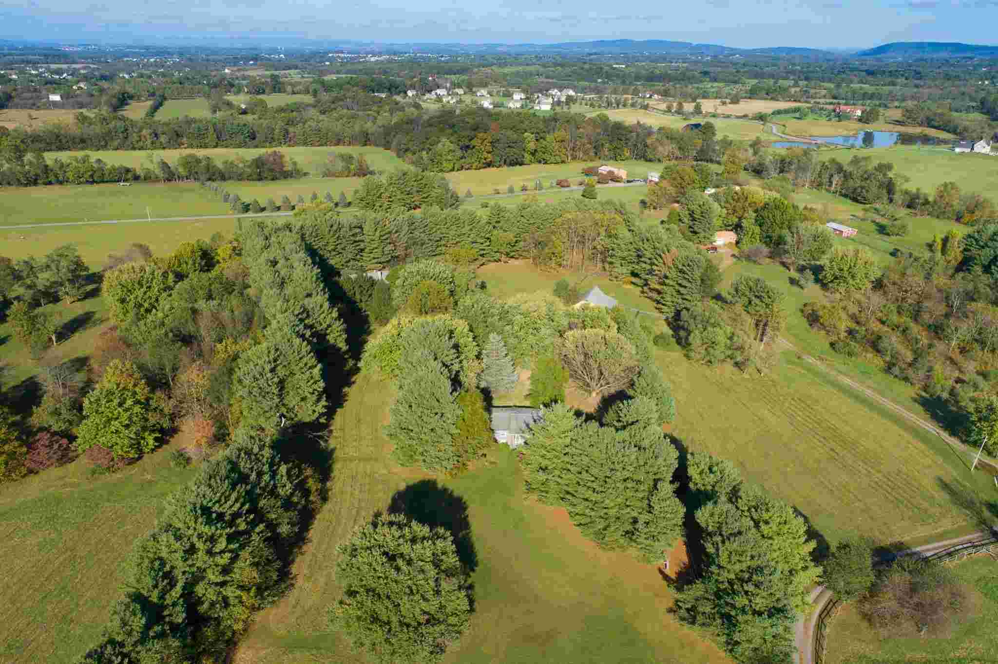 Coming Soon Sneak Peek at Lovettsville Go Platinum Group