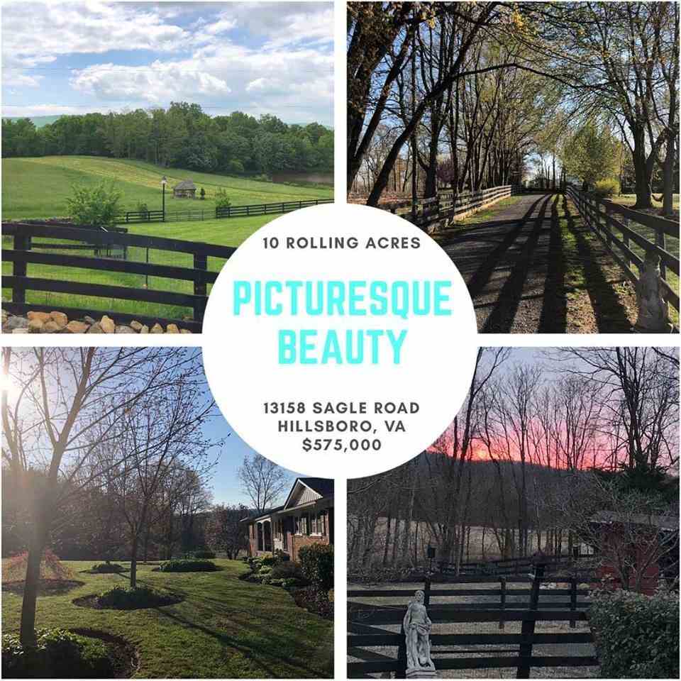 Picturesque Beauty