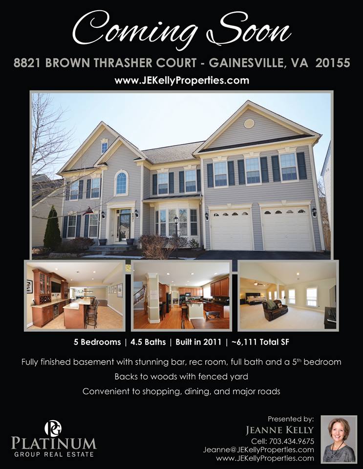 8821 Brown Thrasher Court Home in Gainesville