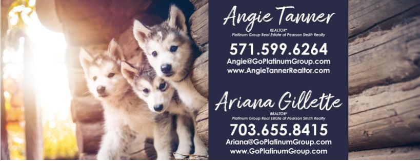 Animal Charity