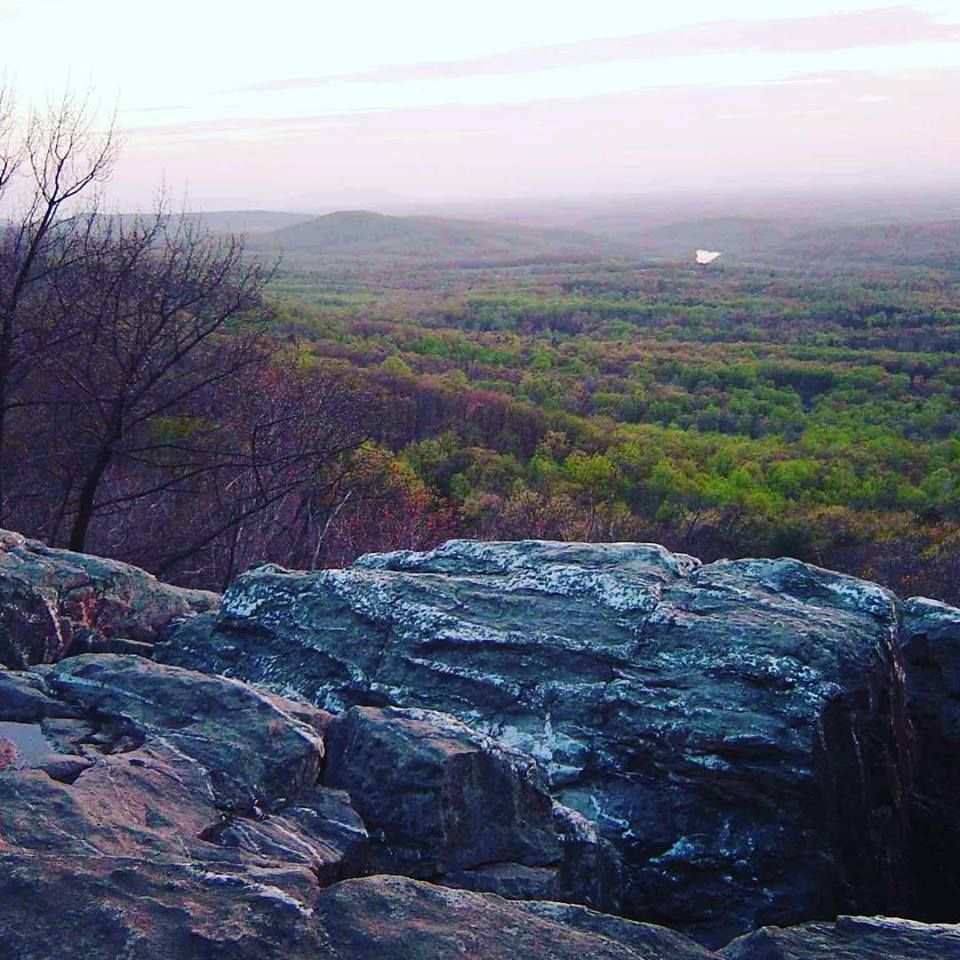 Love Loudoun