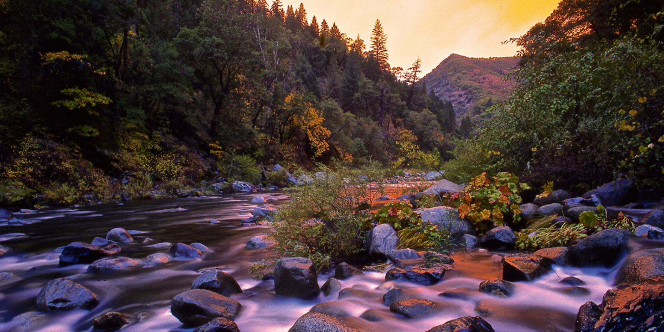 Property For Sale Butte County Ca at Roy Beard blog