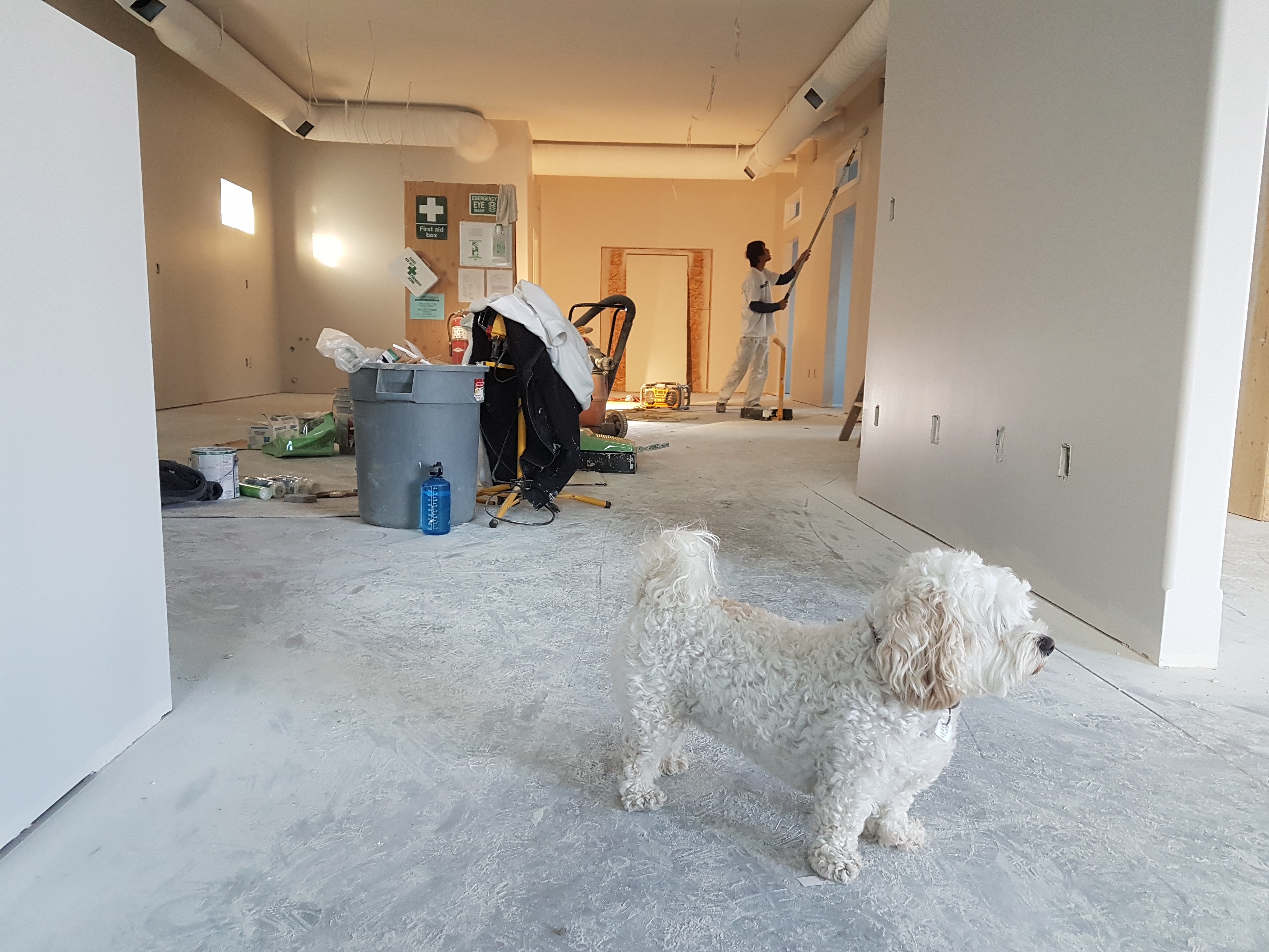 painting with dog