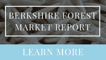 Berkshire Forest Market Report | Ashley DeLong, Realtor