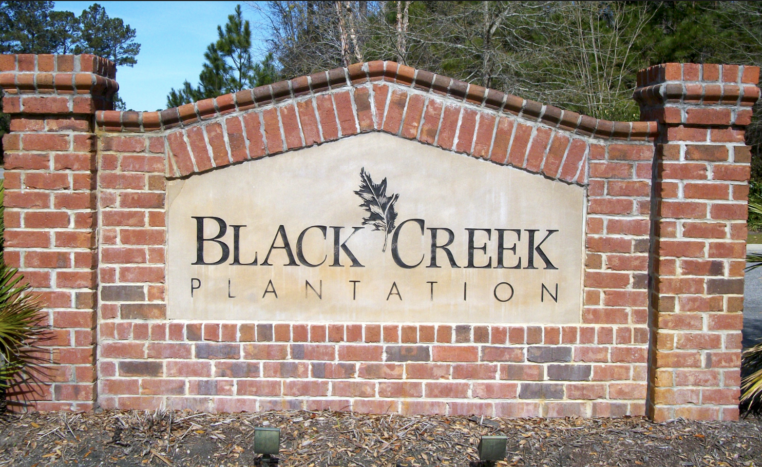 Black Creek Plantation Homes for Sale Carolina Forest, SC