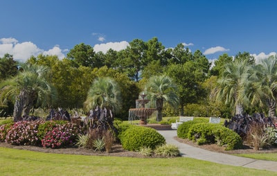 Del Webb Homes for Sale