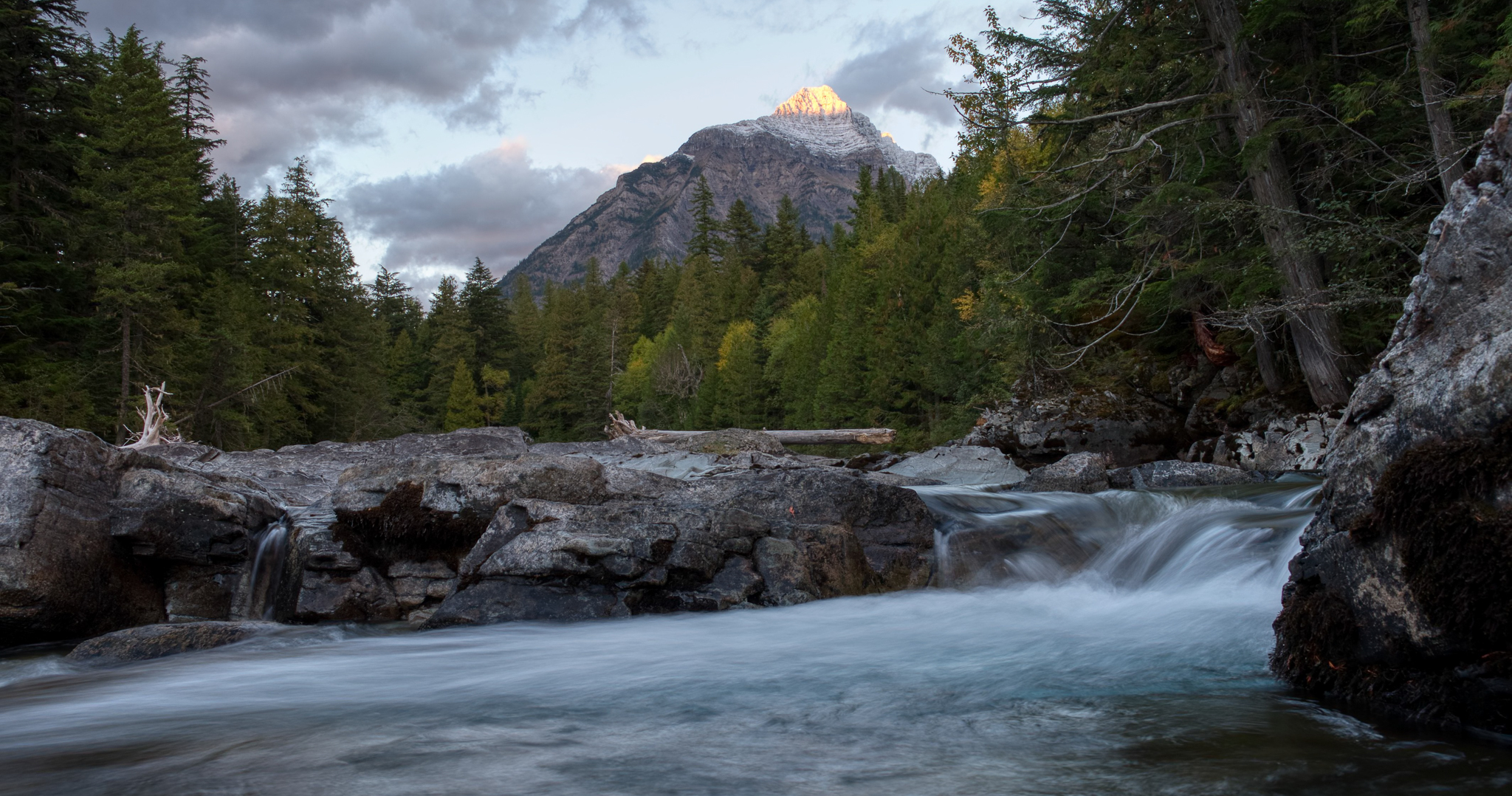 Kalispell real estate