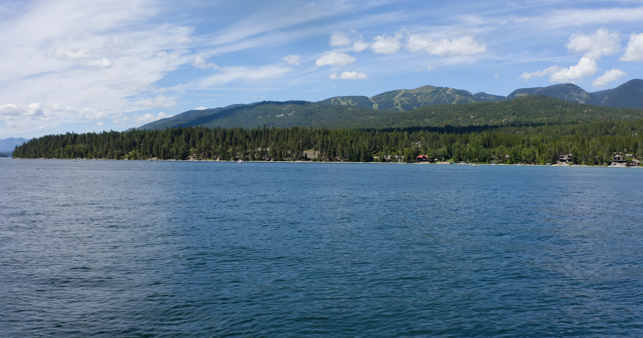 Whitefish real estate