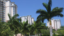 Nevis At Cove Towers