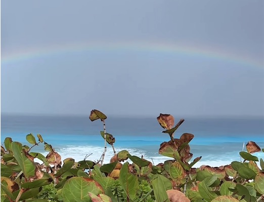 Palm Beach Island Tropical Beach and Tropical Rainbow