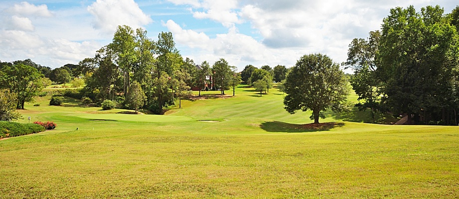 homes for sale in silverleaf subdivision greer sc
