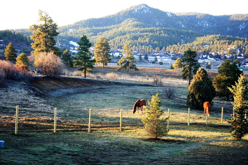 Homes and Land for Sale in Moffat CO Flat Rate Realty Group