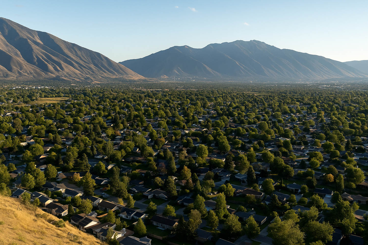 Springville Homes for Sale