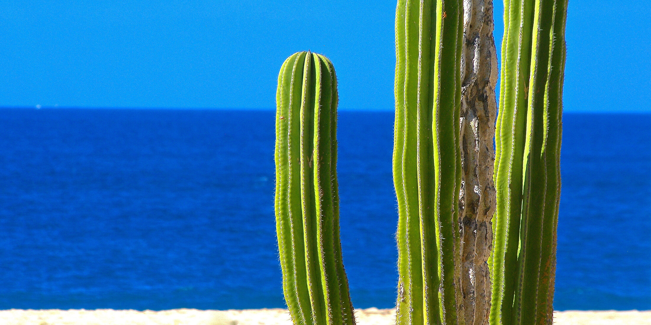 Cabo Pulmo Real Estate Cabo Pulmo Properties for Sale