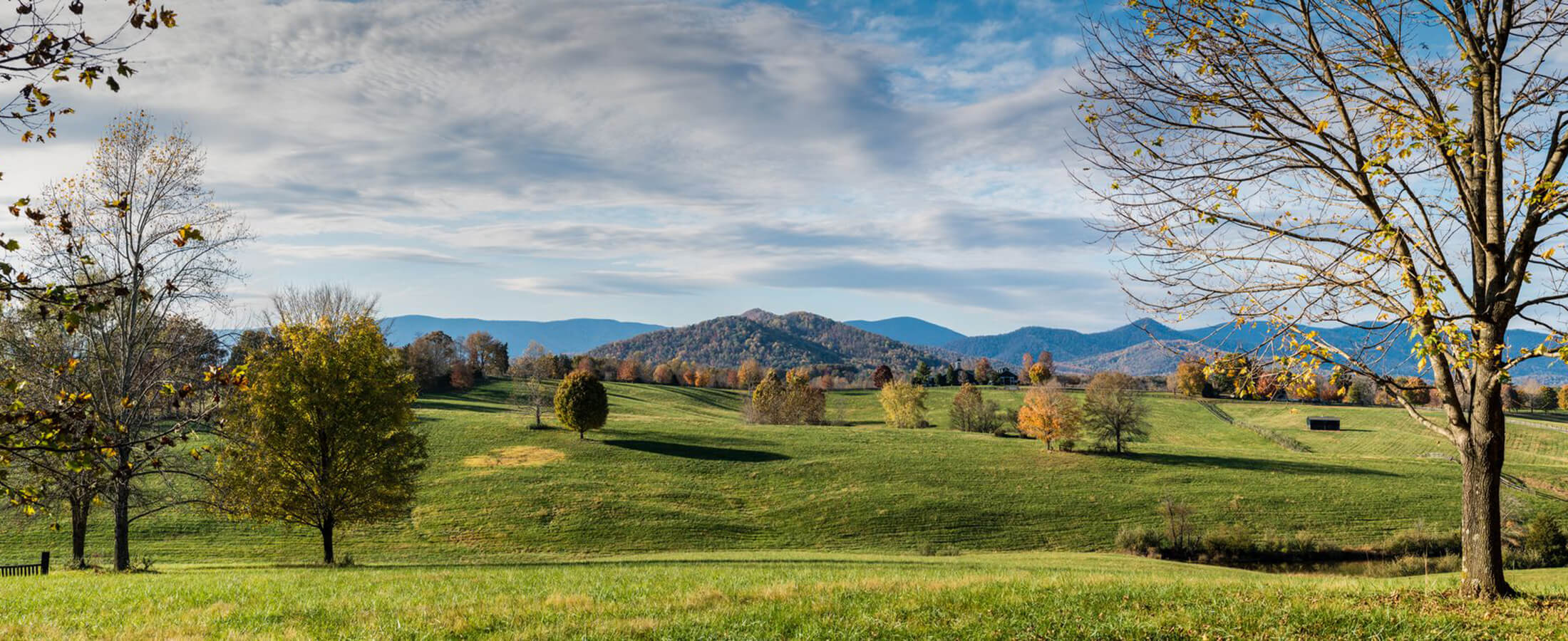 Orange Real Estate Orange Properties for Sale