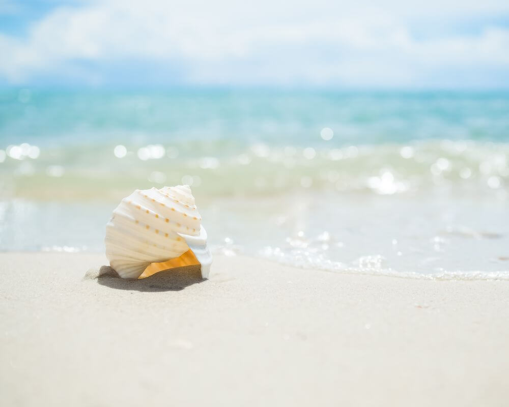 Gulf Shores Real Estate