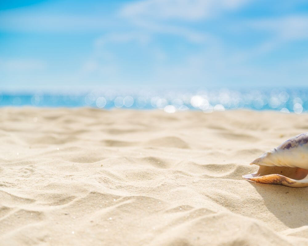Pensacola Beach Real Estate