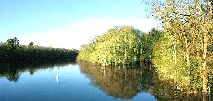 Gallivant's Ferry River Access