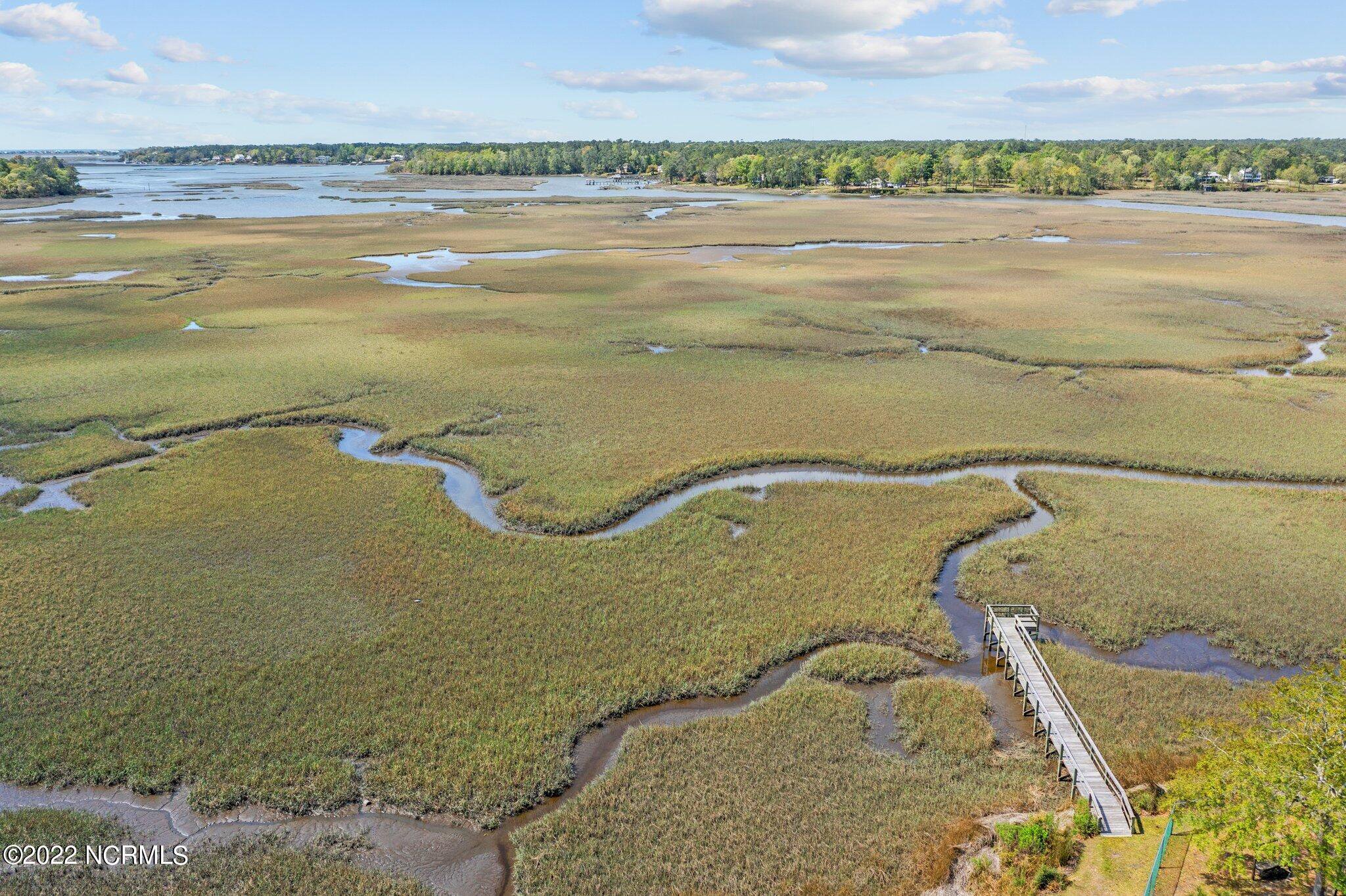 wetlands