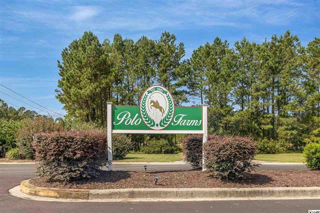 Polo Farms Homes for Sale, Longs SC