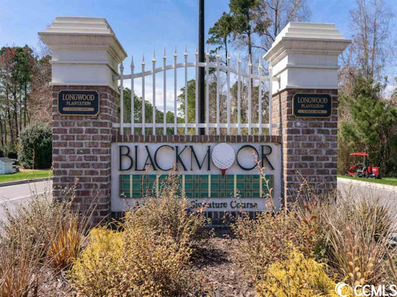 Homes for Sale in Blackmoor, Murrells Inlet
