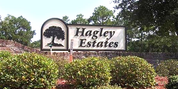 Homes for Sale in Hagley Estates