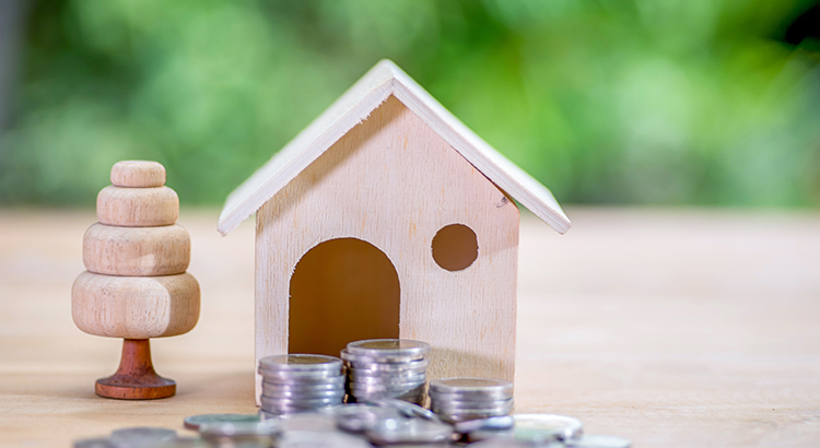 Wooden Birdhouse with Coins