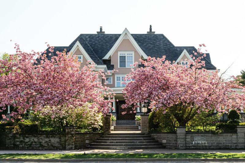 A house with trees in blossom.