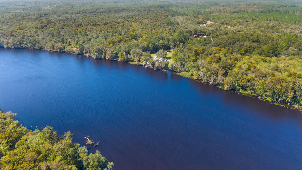 The Suwannee River in North Florida