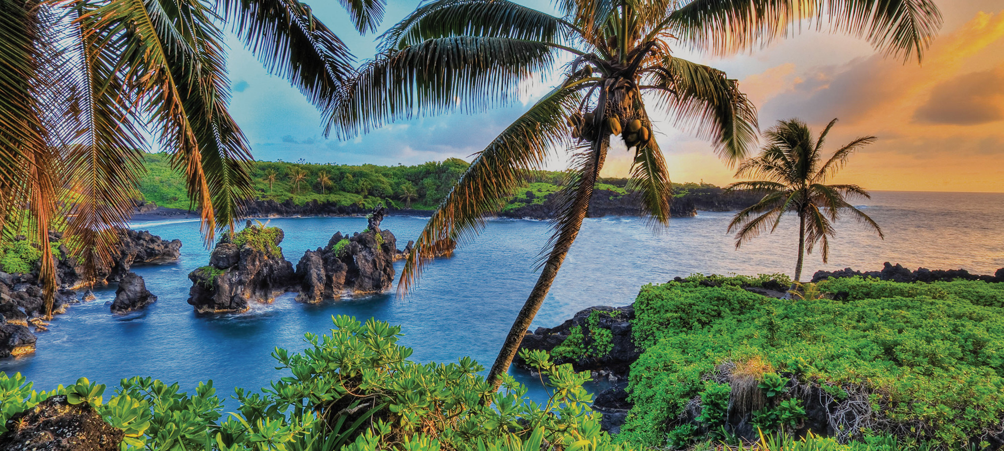 Waialae Iki Homes Search Waialae Iki, HI Real Estate