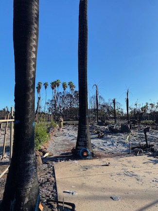 Remnants of 221 Puapihi St in Lahaina