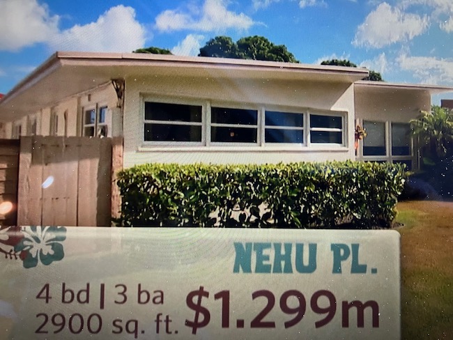 Nehu Home in Aina Haina