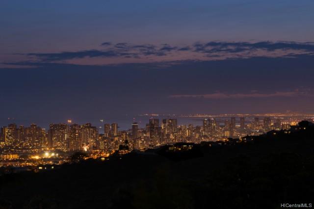 Honolulu City Lights Seen from Ossipoff Home