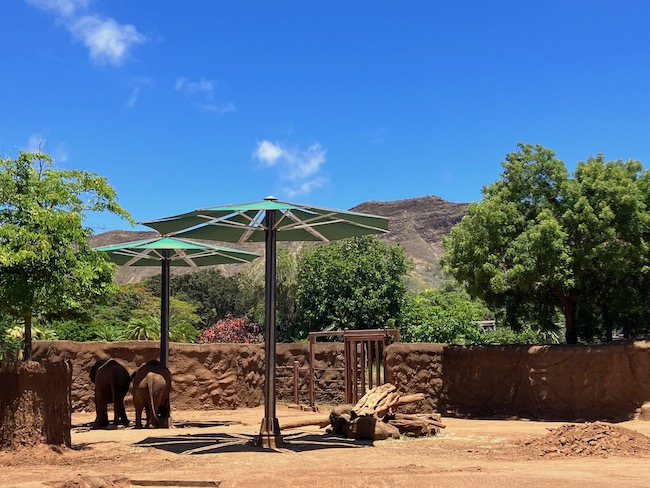 Honolulu Zoo