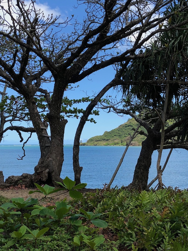 Windward Oahu Pros and Cons