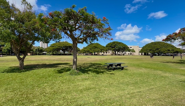 Makiki District Park