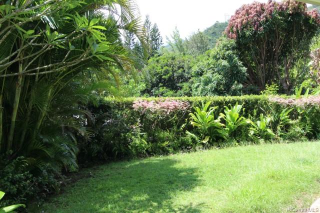 Melemele Manicured Yard