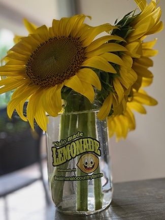 Nalo Made Lemonade
