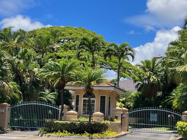 Nohona Kahala Date
