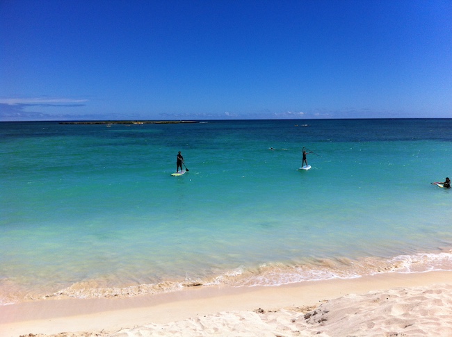 Sam and Lucie Paddle Board Kailua