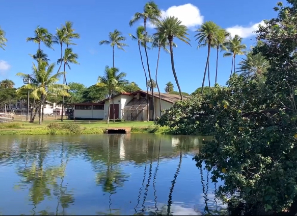 Waikiki Library