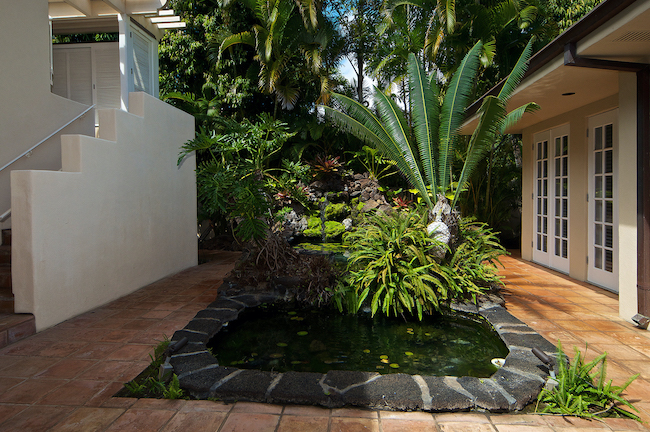 Koi Pond at Diamond Head Home