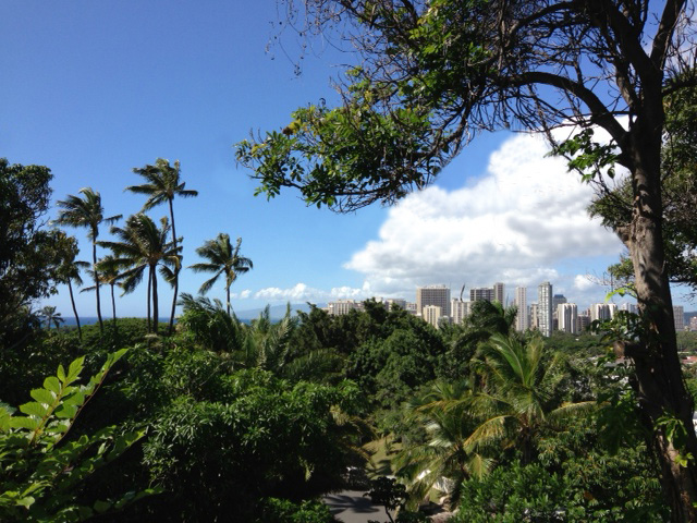 3703 Diamond Head Circle