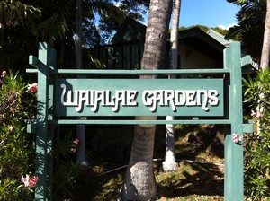 Waialae Gardens Sign