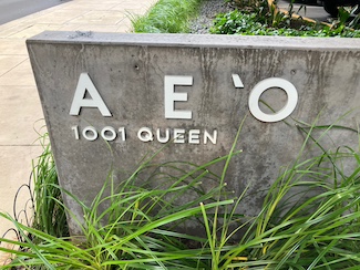Aeo Sign