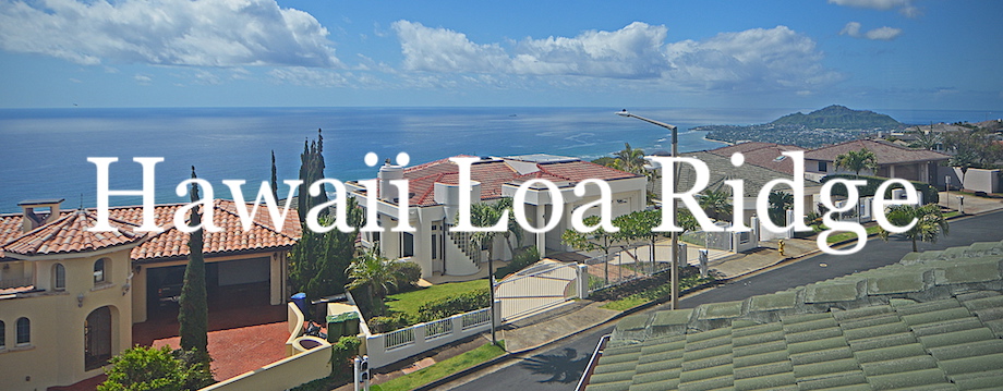 Hawaii Loa Ridge Market Report
