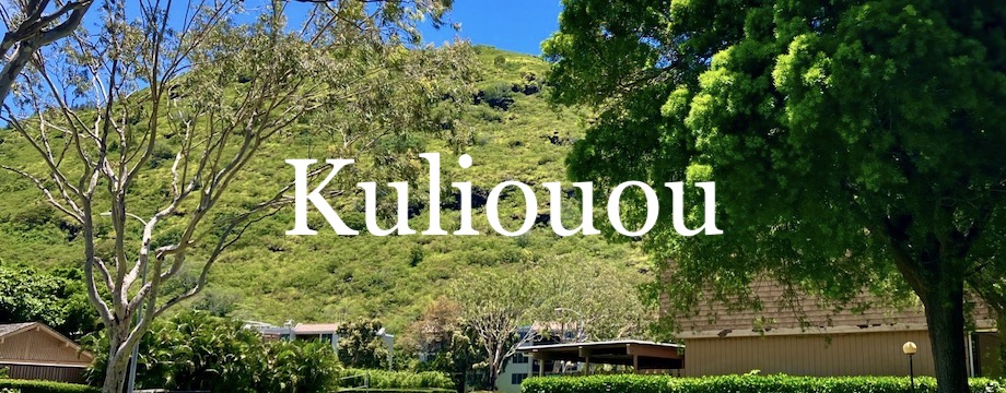 Kuliouou Condo Market Report