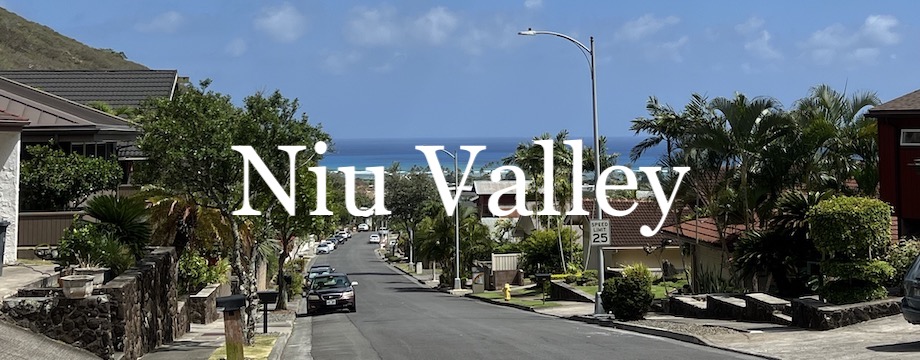 Niu Valley Market Report