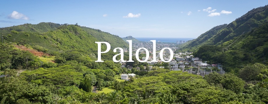 Palolo Market Report