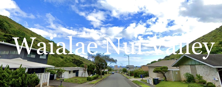 Waialae Nui Valley Market Report